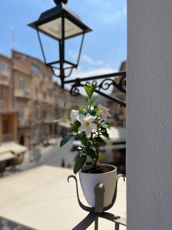 トロペーア Terrazzo Del Borgo Bed & Breakfast エクステリア 写真
